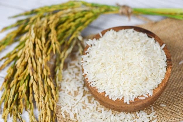 Rice