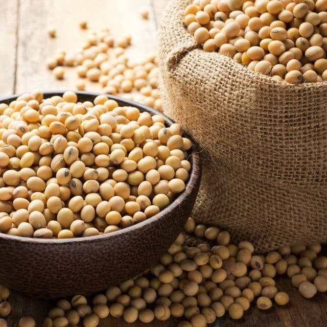 Soya Bean